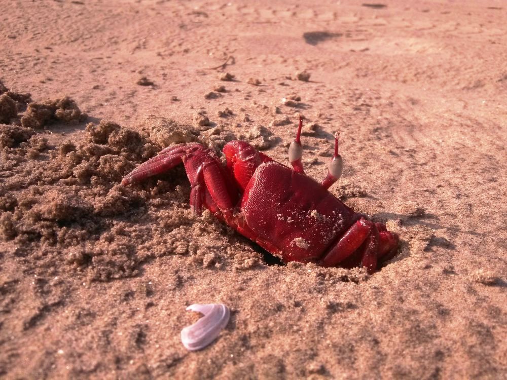 ID: Incoming ! Keep you head Down.