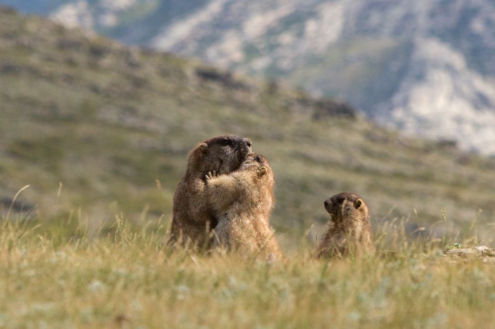 Фотография автора Юрий Литвинов