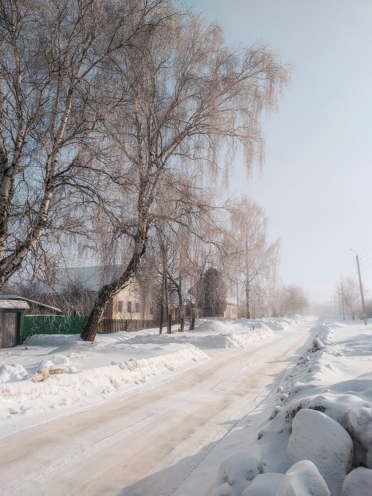 Зимний солнечный морозный день. Winter sunny frosty day