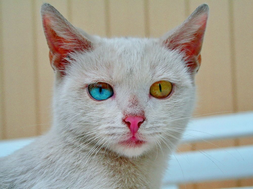 Photograph by вячеслав милов