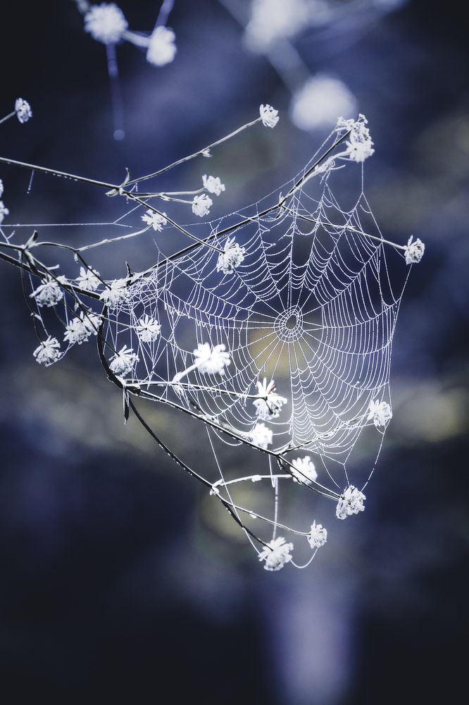 Photograph by Lara Pucko