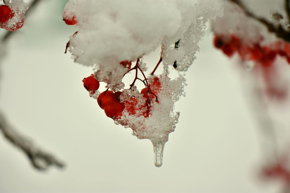 Photograph by Наталья Аржинт