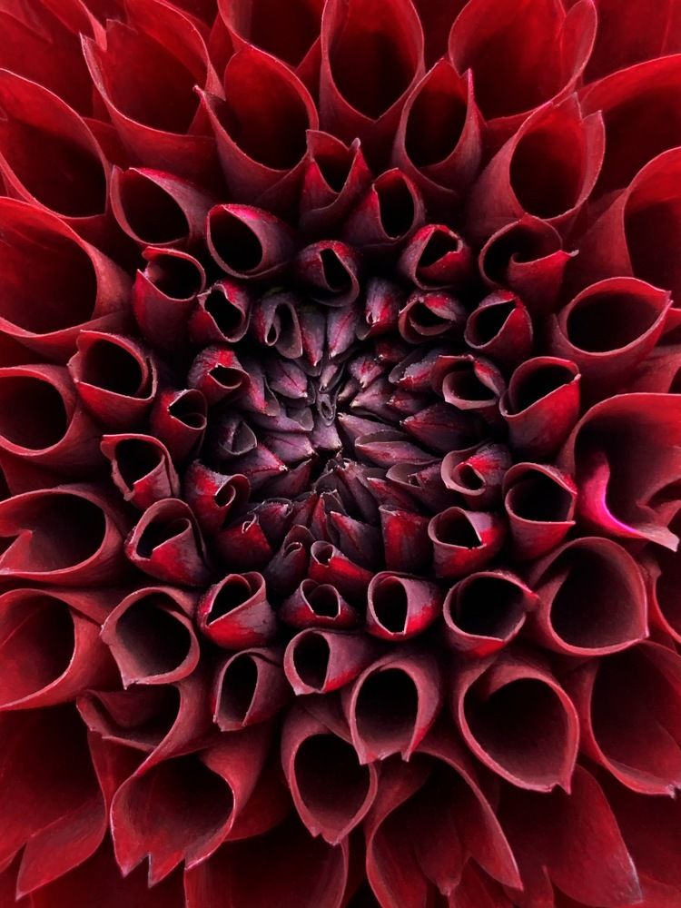 Photograph by Мария