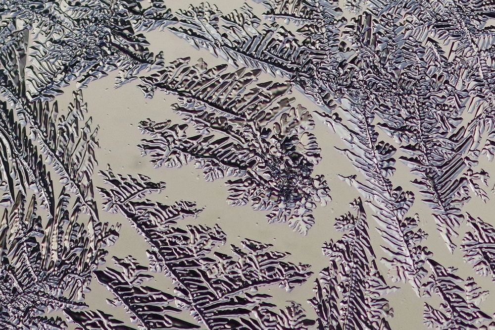 Photograph by Александр