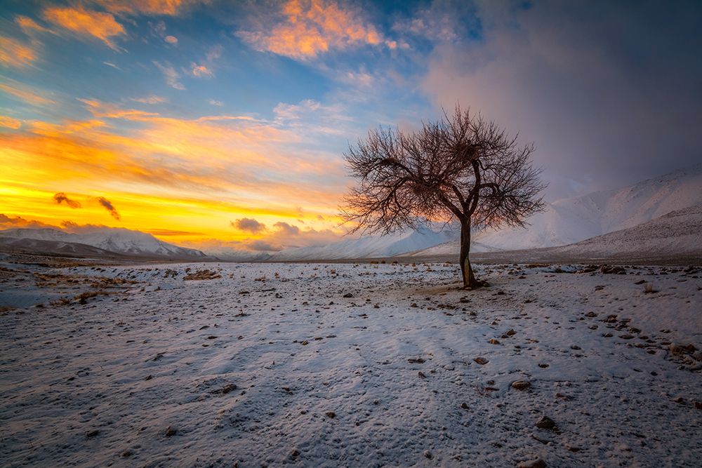 Photograph by sajjad saadat