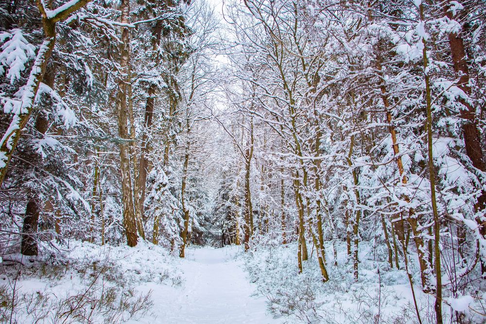 Photograph by Anna Diatchenkova