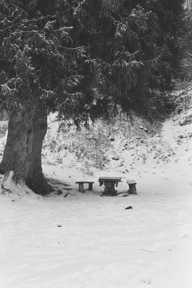 Photograph by Dmitriy  Dodonov