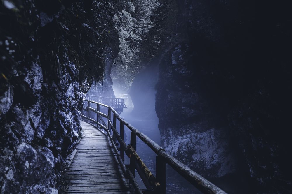 Photograph by Lara Pucko