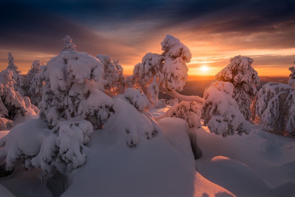 В стране снежных чудищ