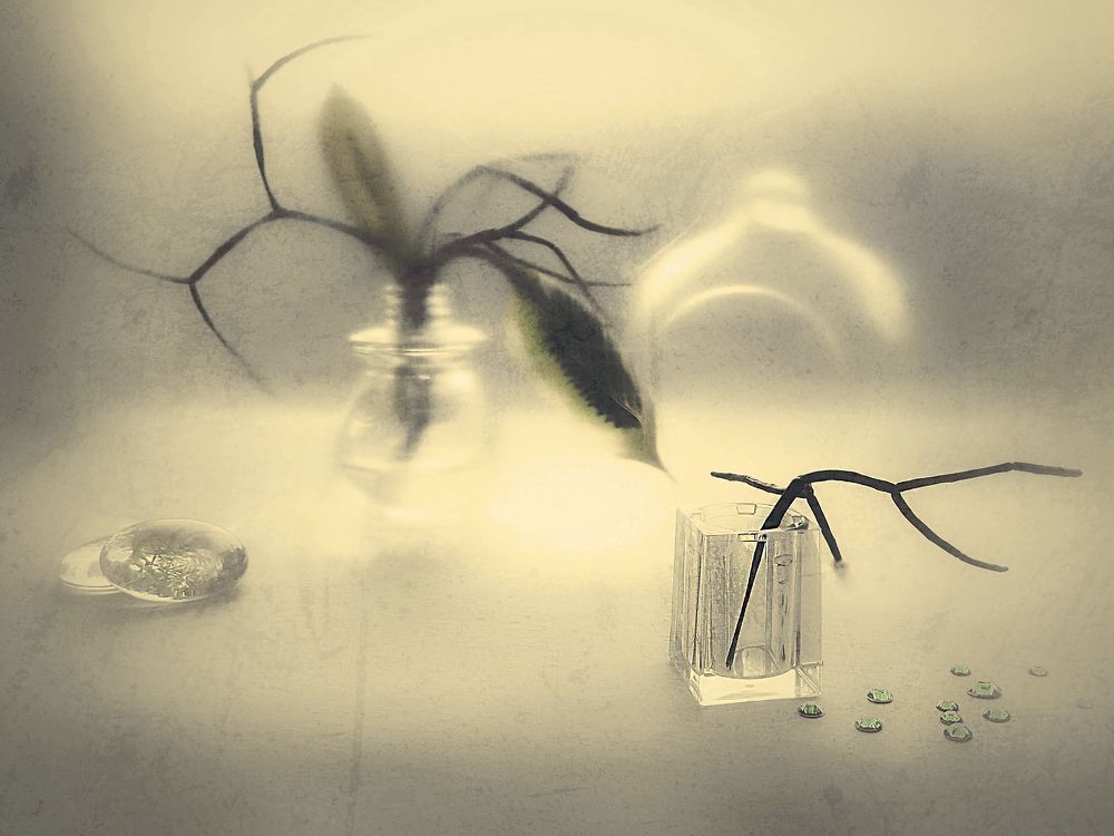 Photograph by Светлана Лехмус