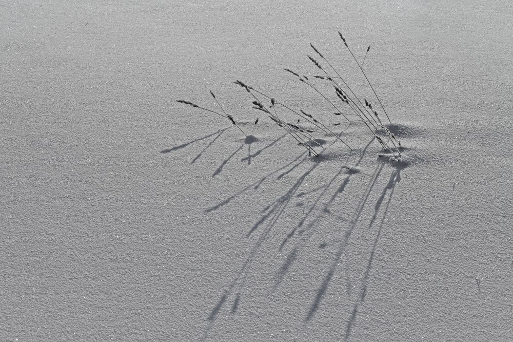 Photograph by Оксана Червинская