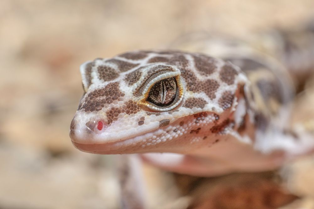 Photograph by Chaitanya Dudhalkar