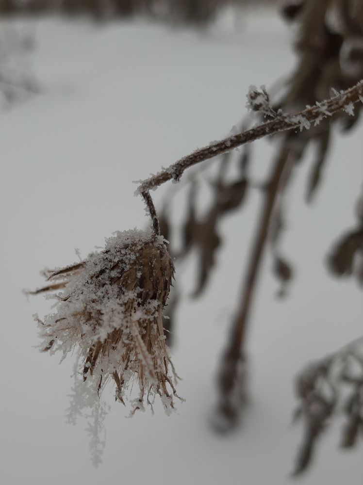 Photograph by Мария Глотова