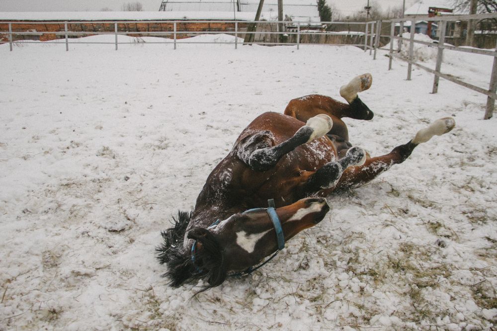 Photograph by Cath. B.