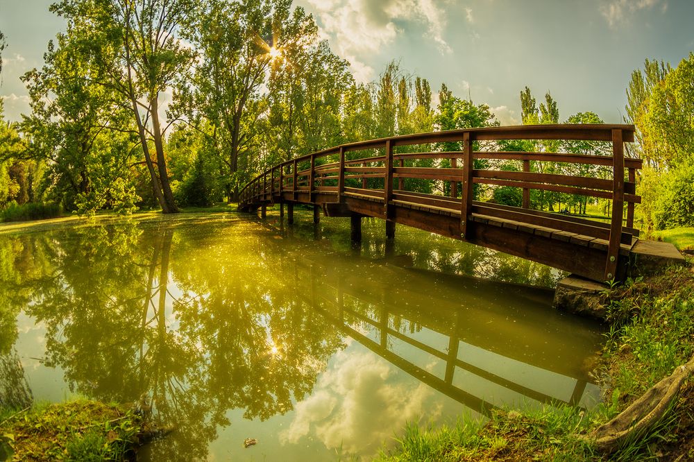 Photograph by Norbert Garaj