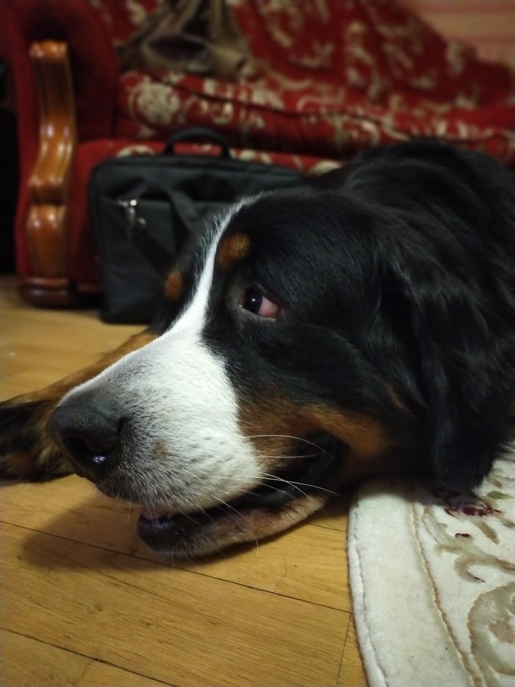 Photograph by Наталия Чайка