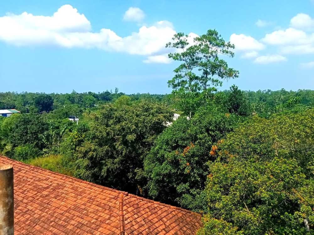 Photograph by Nimsara Miyasi