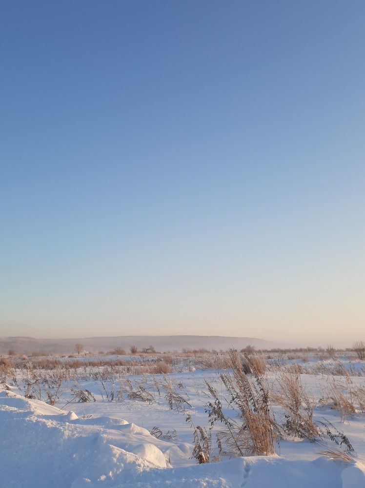 Photograph by Мария Глотова