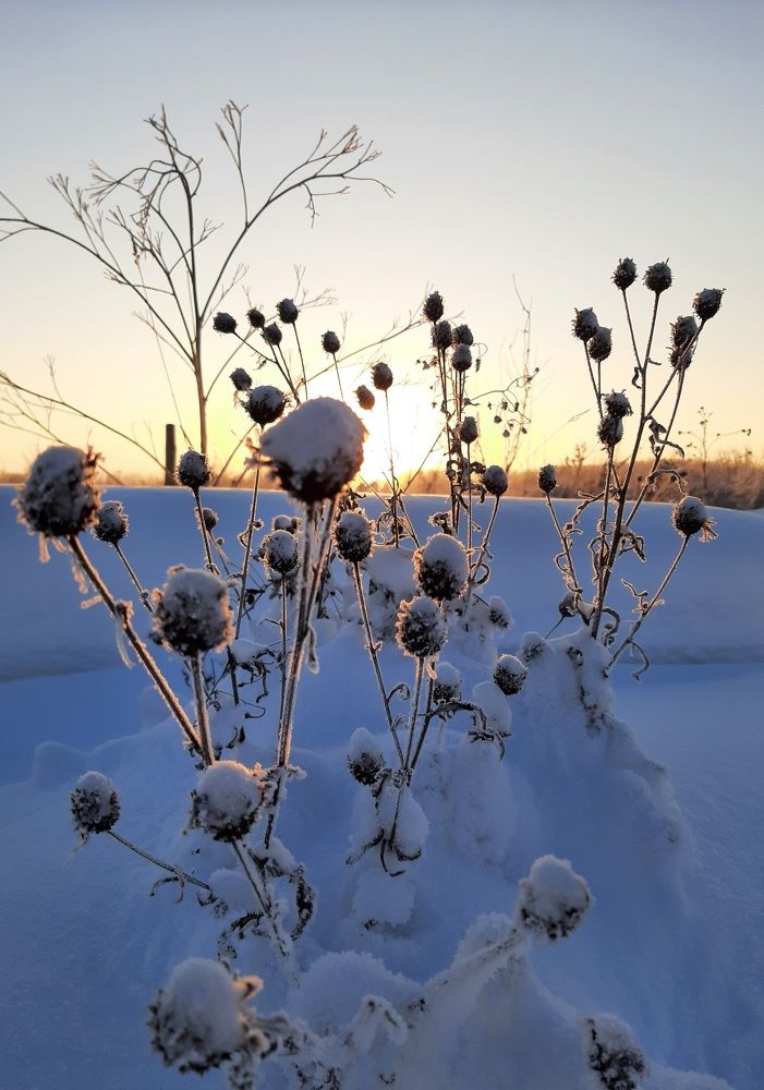 Photograph by Мария Глотова