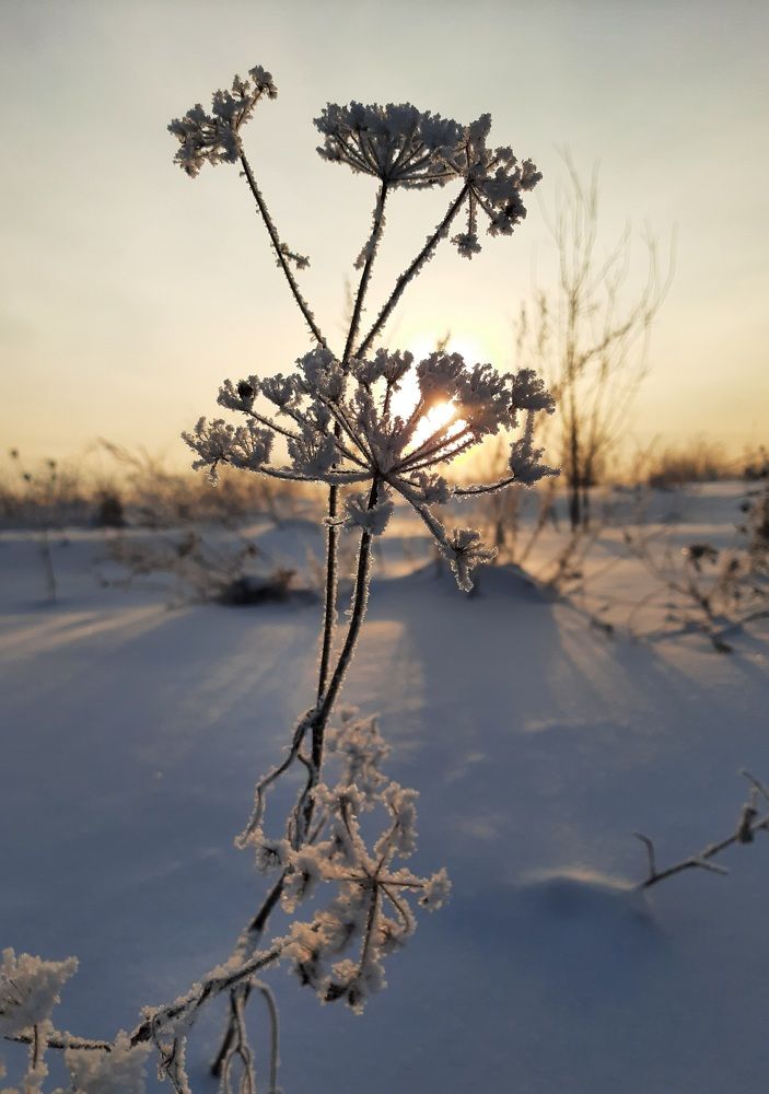 Photograph by Мария Глотова