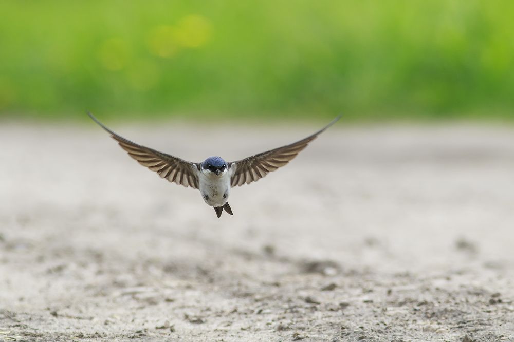 Photograph by Наталья