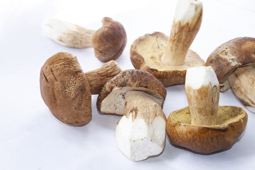 Photograph by Ирина Архипова