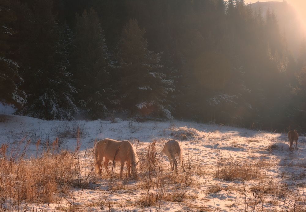 Photograph by Ферзаулин Руслан