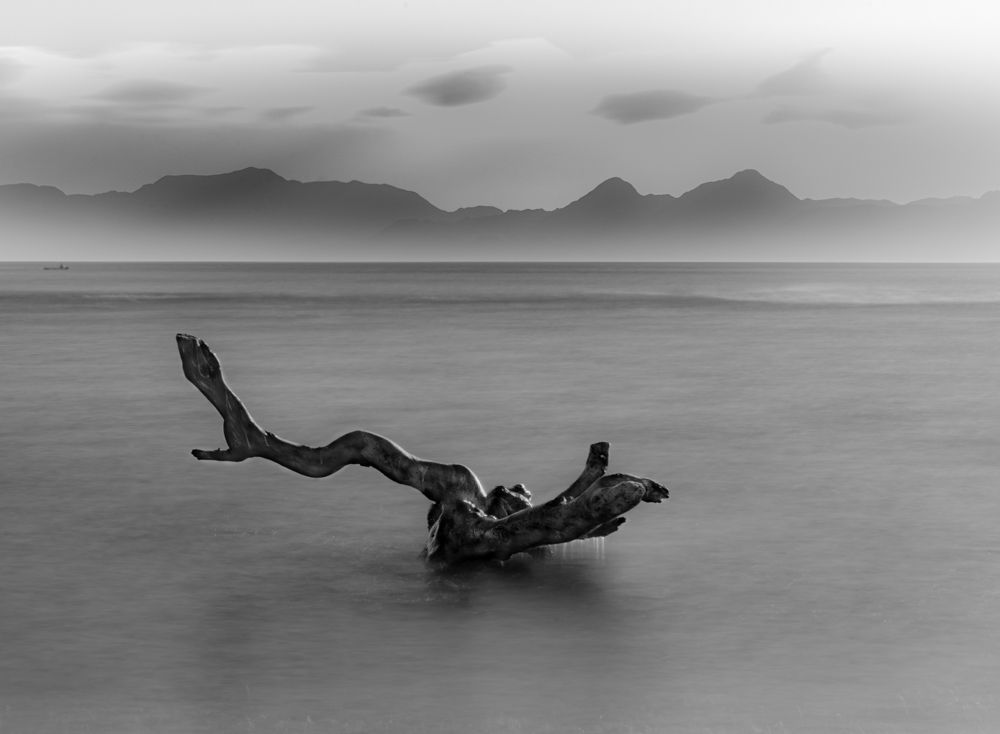 Photograph by Armando Galaviz