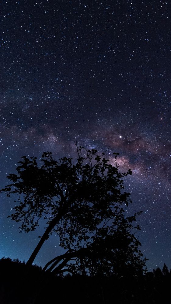 Photograph by Mohamed Fazil