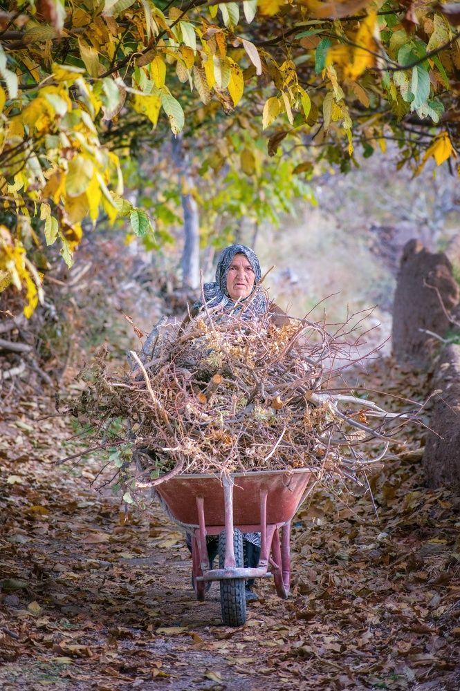Photograph by Javad Bandari