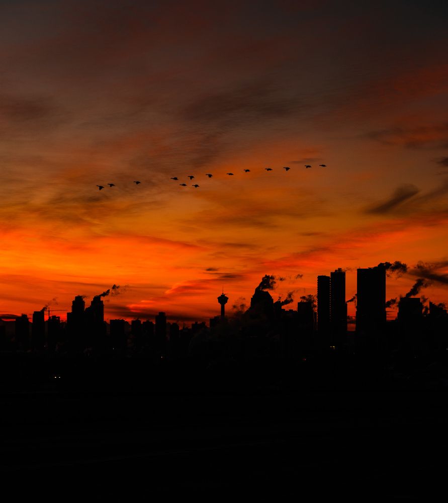 Photograph by Austin Richardson