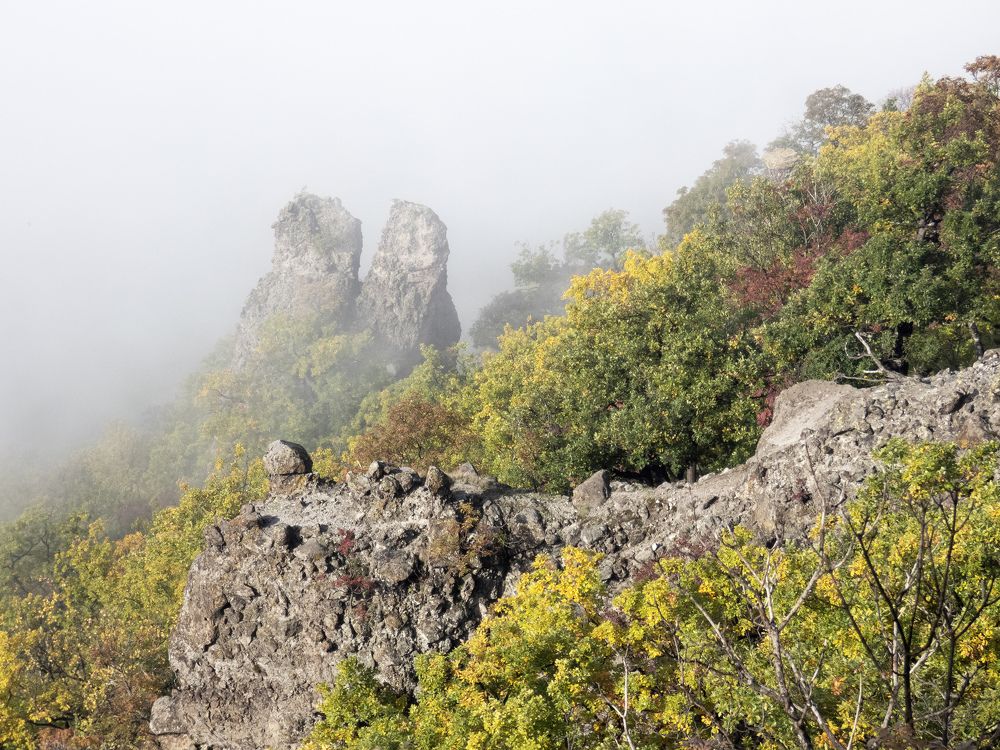 Photograph by Berezvai László