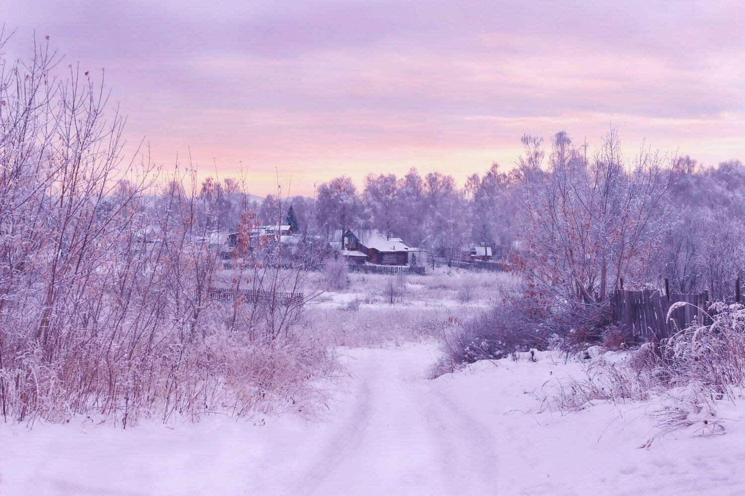Photo #5855252