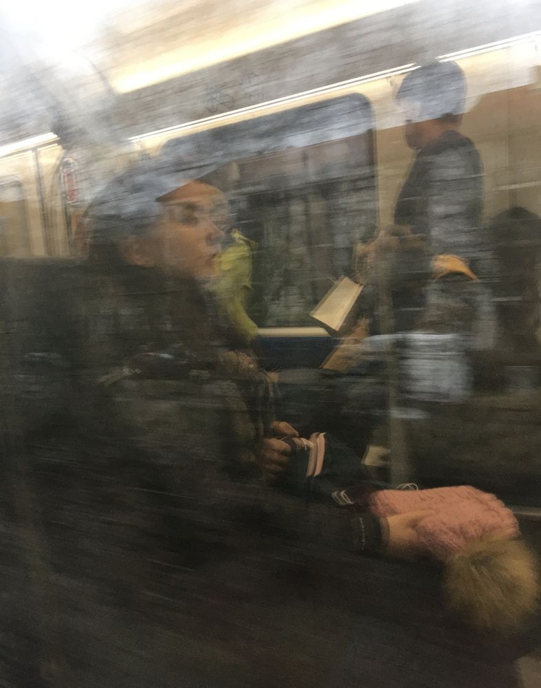 Фотография автора Malkhaz Svanidze