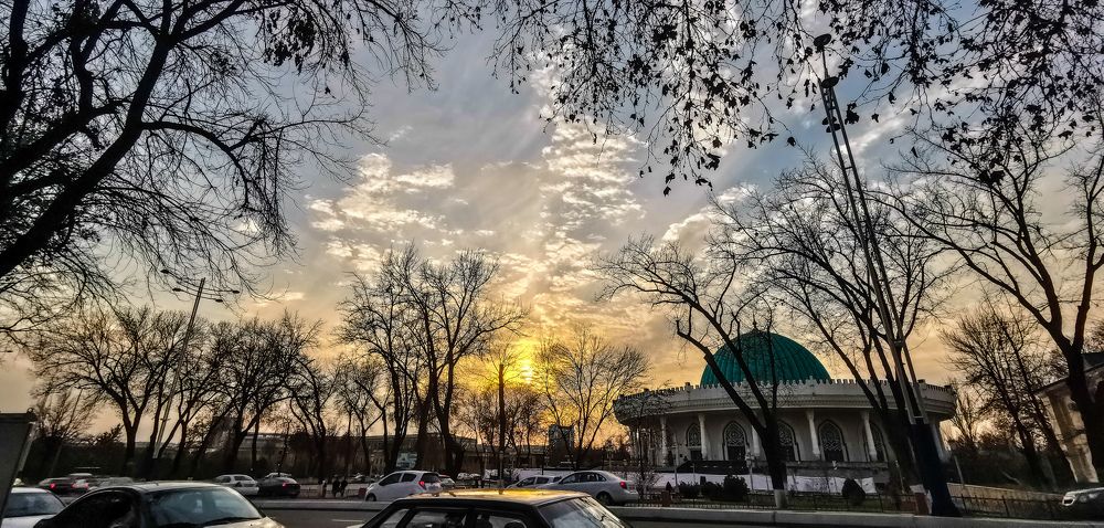 Photograph by Yuriy  Korsuntsev