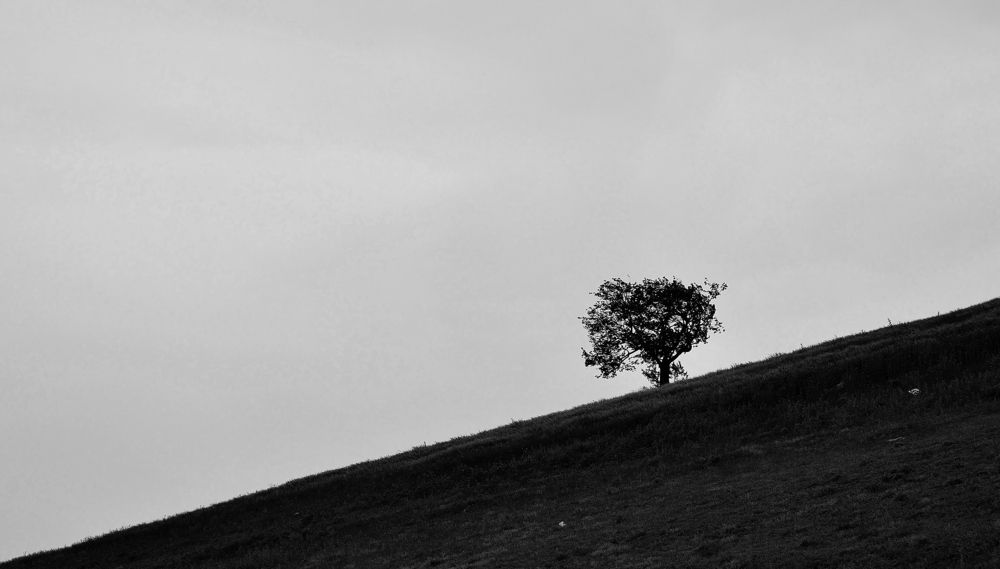 Photograph by Yaser Alijani