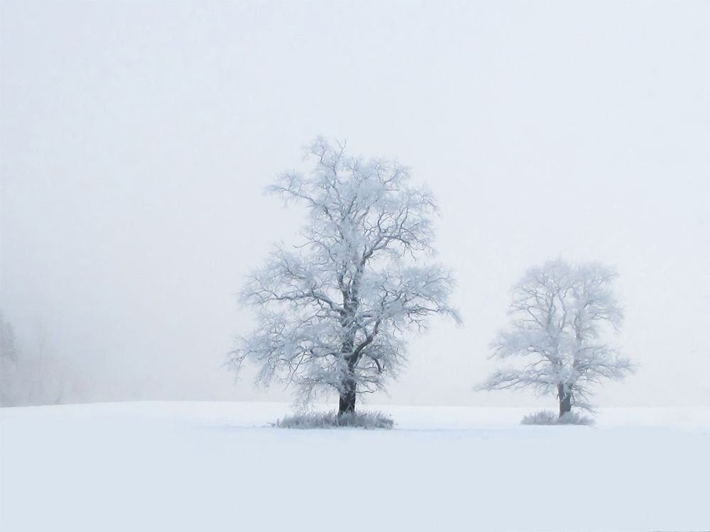 Фотография автора DZINTRA REGINA JANSONE