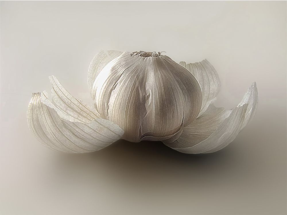 Фотография автора DZINTRA REGINA JANSONE