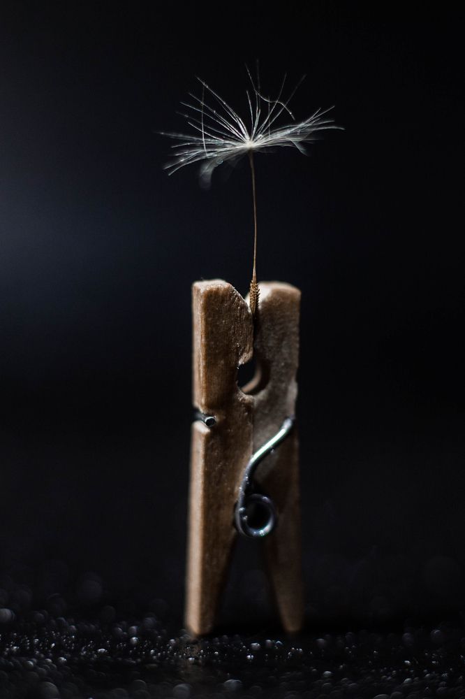 Photograph by Анна Колесникова