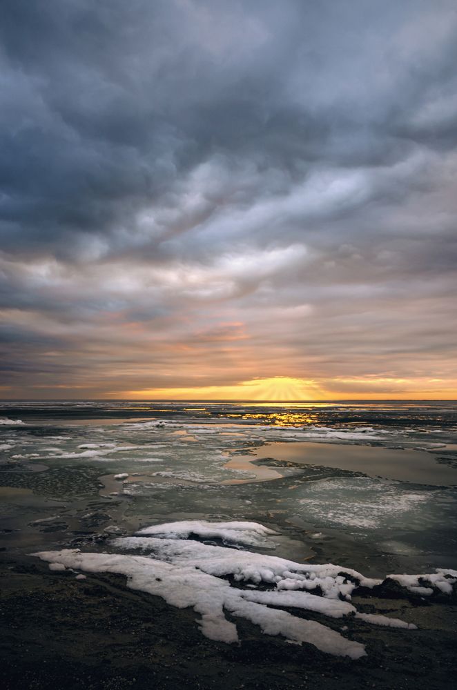 Чьи-то лапки...