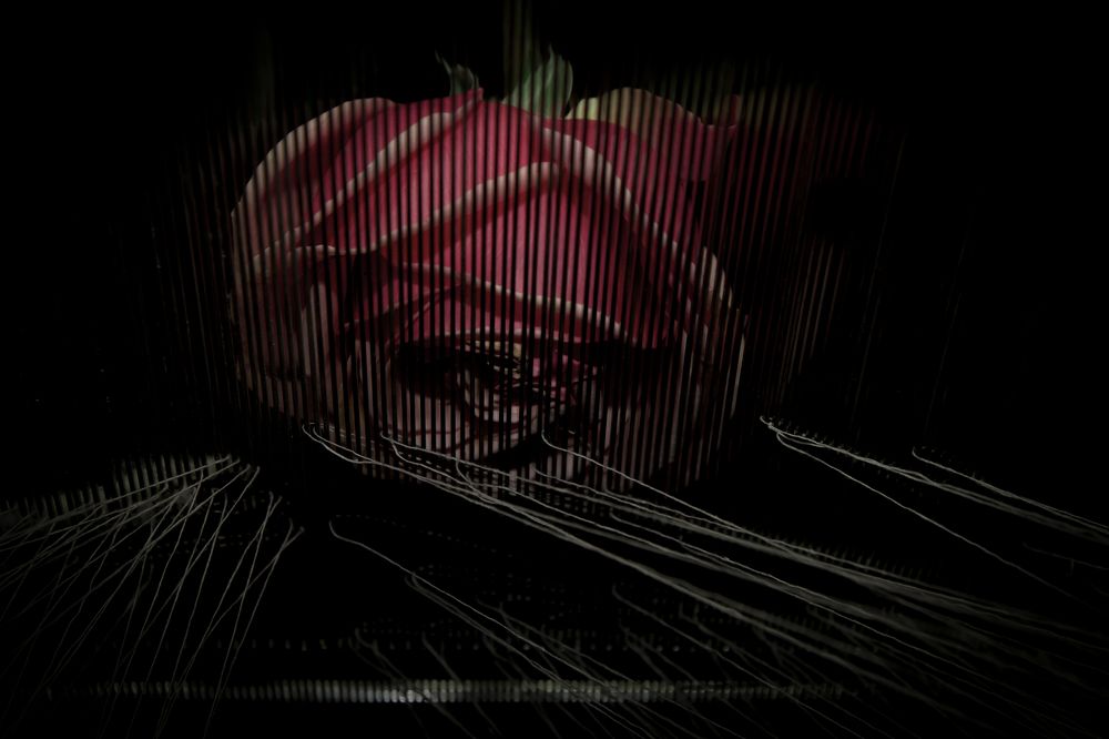 Photograph by Alexandros Emmanouilidis