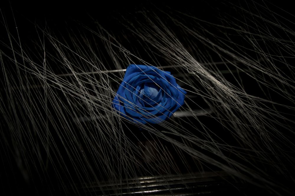 Photograph by Alexandros Emmanouilidis