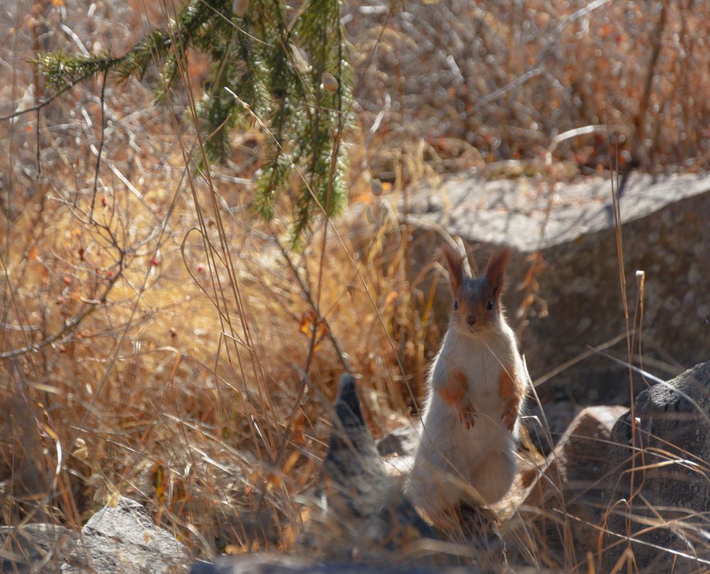 Photograph by Ферзаулин Руслан