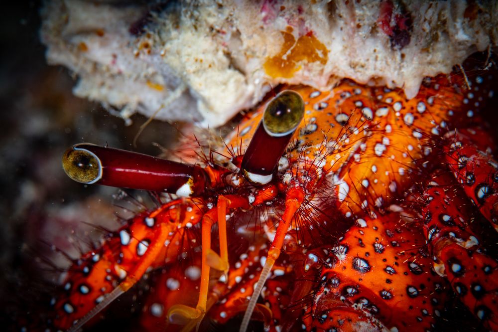 Photograph by Carlos Eduardo Barreto Pinheiro