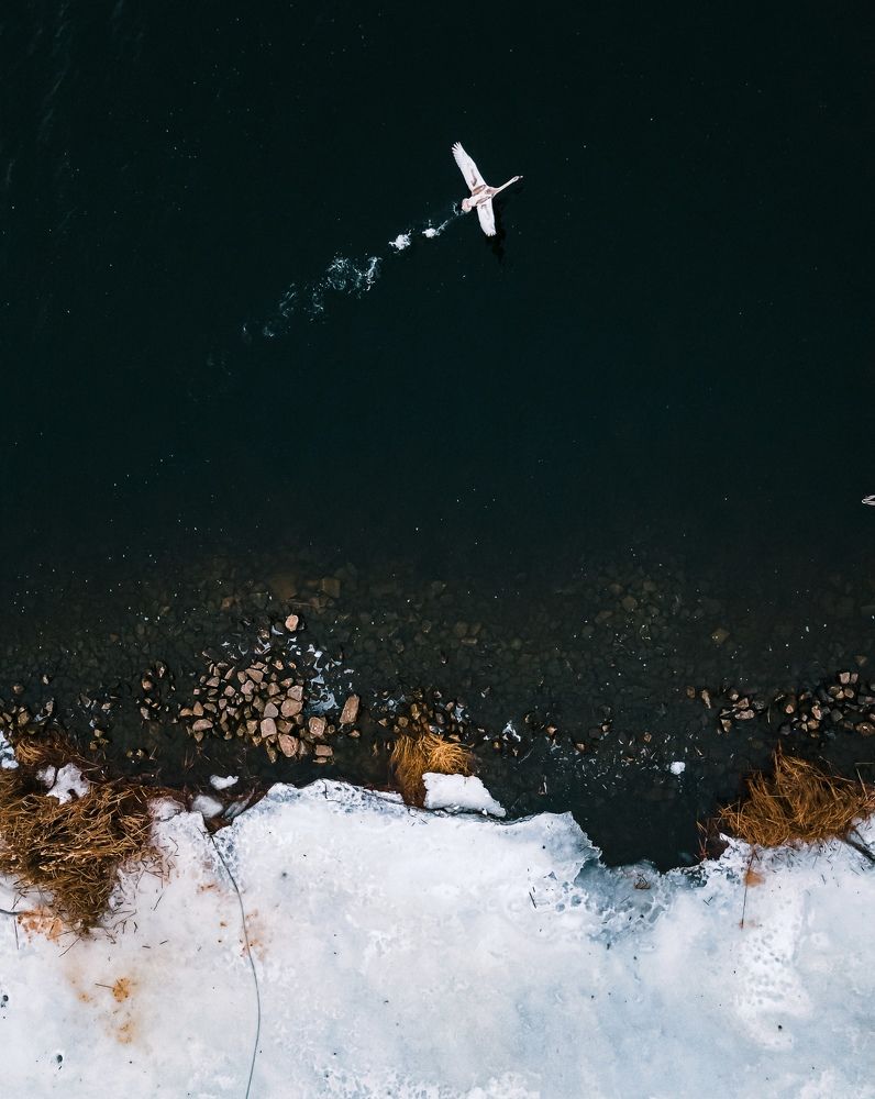 Photograph by Евгений Белан