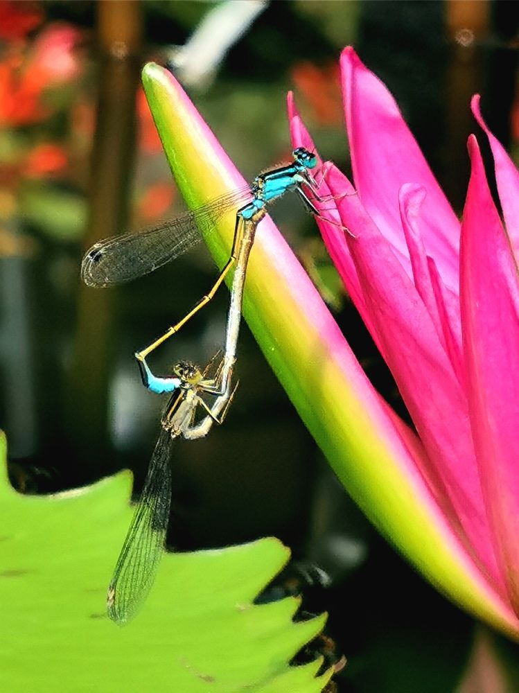 Photograph by Снежана Фирсова