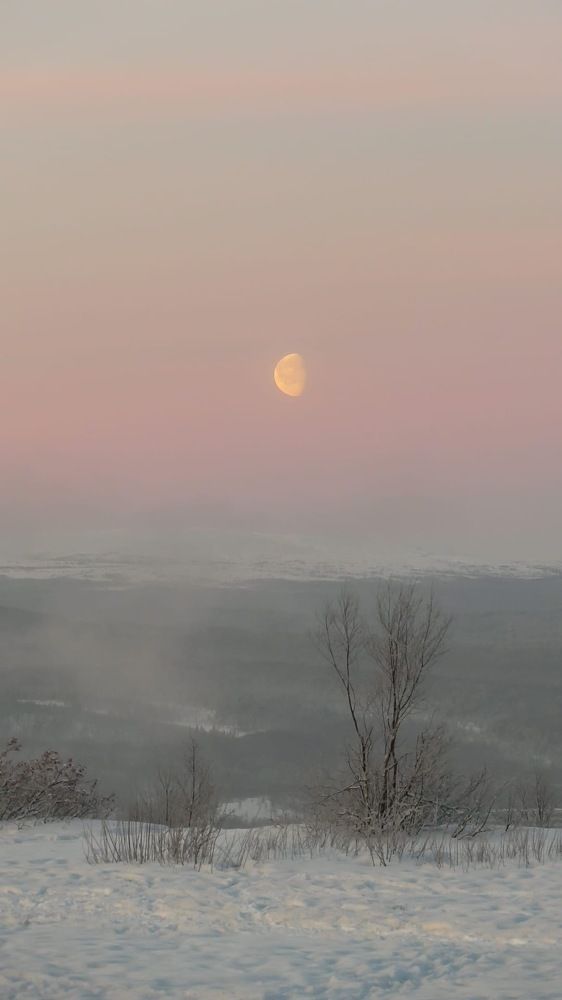 Photograph by Елена Данченко