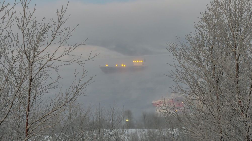 Photograph by Елена Данченко