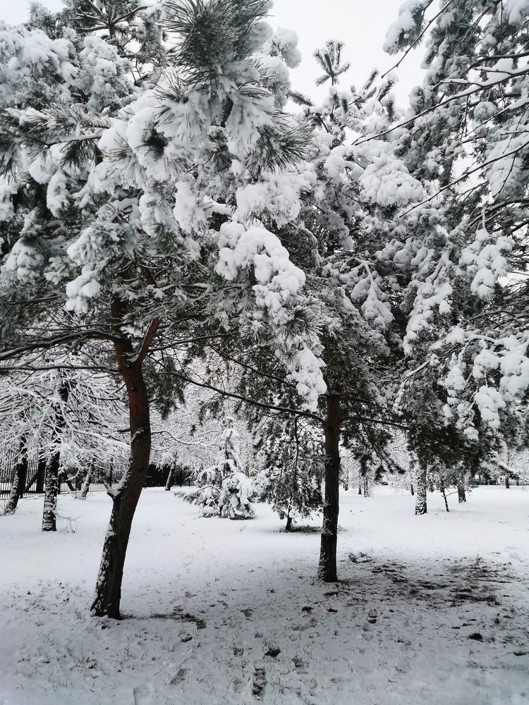 Photograph by Серафима Силина