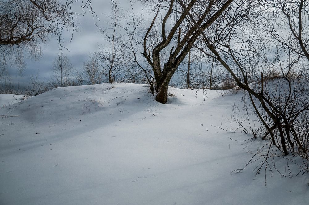 Photograph by Ясинский Юрий